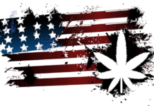 ballot box turn hot box November