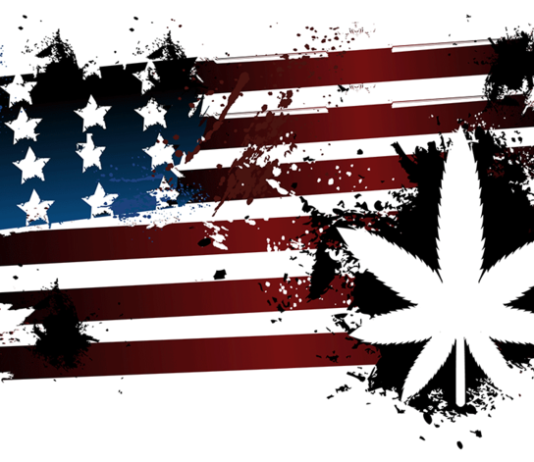 ballot box turn hot box November