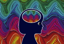 ritalin gateway drug