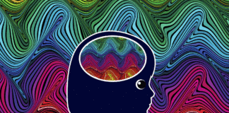 ritalin gateway drug