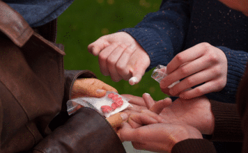 Why some teens are vulnerable to addiction while others aren’t teens vulnerable addiction