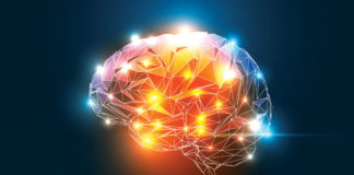 heroin cravings in the brain