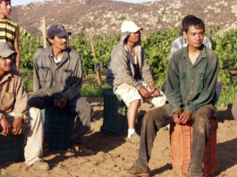 anexos addiction treatment