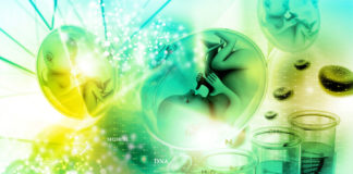 addiction and genetics