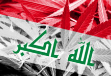 Iraq drug problem