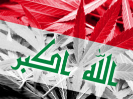 Iraq drug problem