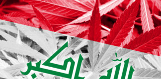 Iraq drug problem