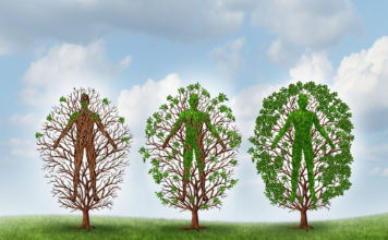 The branches of addiction recovery and intervention approaches The branches of addiction recovery and intervention approaches