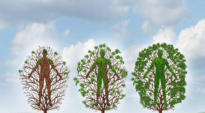 The branches of addiction recovery and intervention approaches