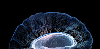 New research finds brain systems that can help curb cocaine abuse