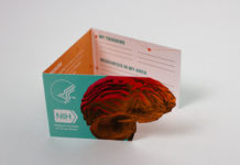 nida-introduces-the-drugs-and-the-brain-wallet-card-for-relapse-prevention_720