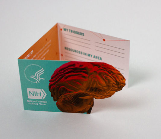 nida-introduces-the-drugs-and-the-brain-wallet-card-for-relapse-prevention_720