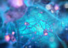 strong-connectivity-between-brain-networks-can-predict-and-prevent-cocaine-relapse_720