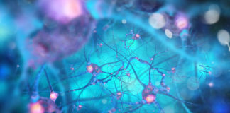 strong-connectivity-between-brain-networks-can-predict-and-prevent-cocaine-relapse_720