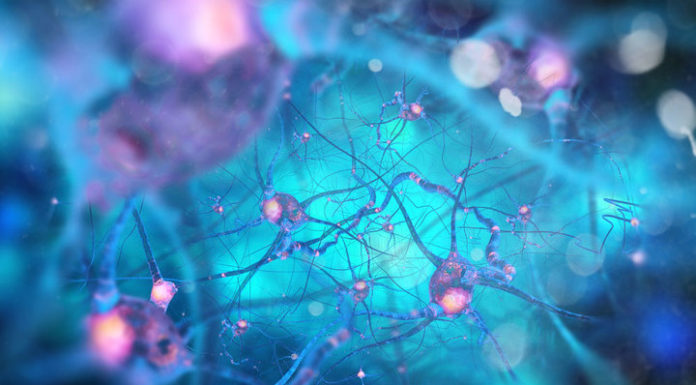 Strong connectivity between brain networks can predict and prevent cocaine relapse strong-connectivity-between-brain-networks-can-predict-and-prevent-cocaine-relapse_720