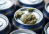 The effect of alcohol and marijuana on academic performance