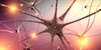 treating_polyneuropathy_with_long-term_opioid_therapy_720