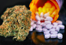 New-study-links-marijuana-use-to-increased-risk-of-opioid-use-disorder