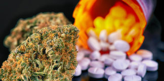 New-study-links-marijuana-use-to-increased-risk-of-opioid-use-disorder