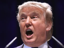 Donald Trump Opioid Crisis