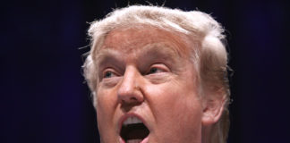 Donald Trump Opioid Crisis