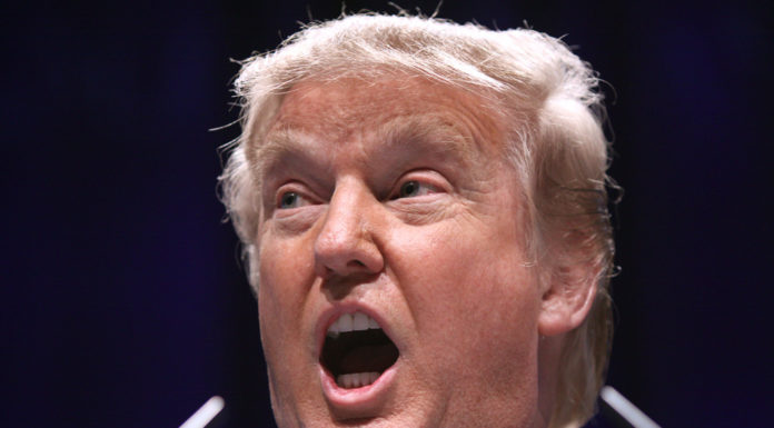 Donald Trump Opioid Crisis