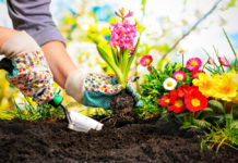 Addiction Recovery House in Athens, Ohio Experiments with Horticultural Therapy