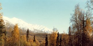 Chugiak Drug Addiction Treatment Efforts Expanding