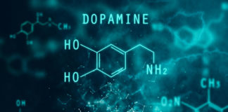 New Dopamine Research Findings May Redefine Addiction Treatment 