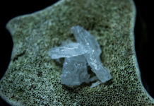 The Escalation of Meth Use in America with Deadly Consequences