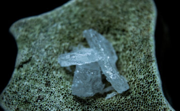 The Escalation of Meth Use in America with Deadly Consequences